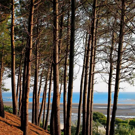 Apartment Studio Arcachon, 1 Piece, 2 Personnes - Fr-1-420-131 *